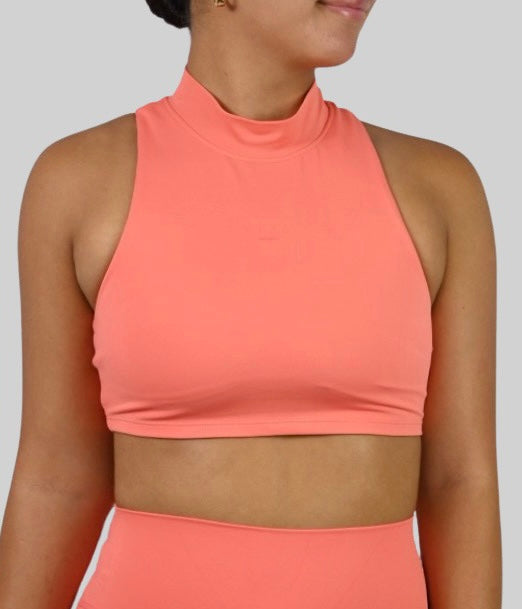 Luxe 360 High Neck Sports Top